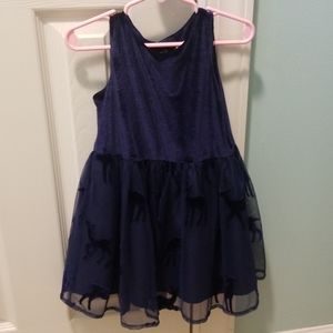 Velvet and Tulle Dress 3T